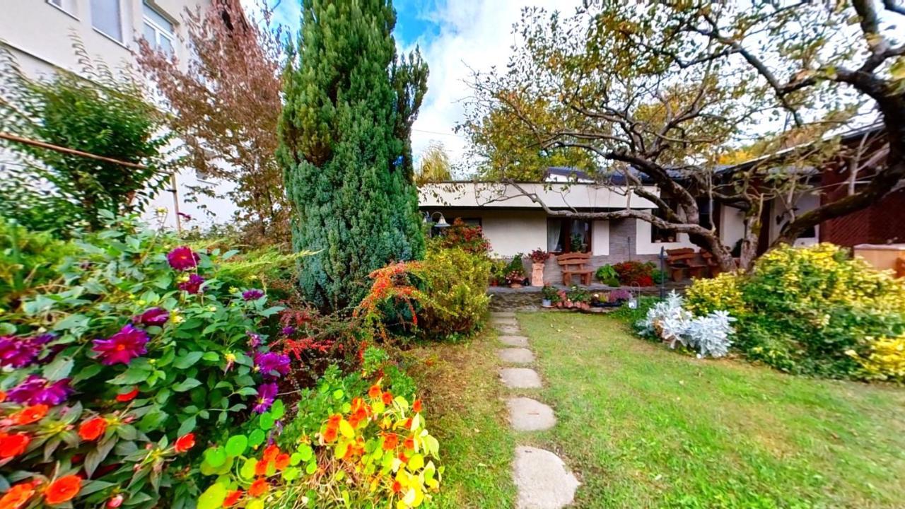 Vila "'Nu Ma Uita" Sovata Exteriér fotografie