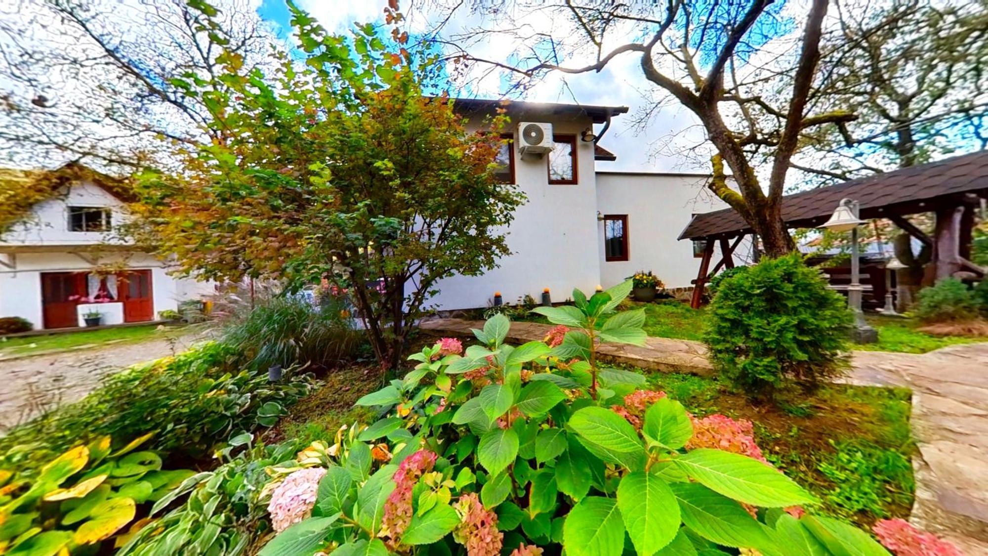 Vila "'Nu Ma Uita" Sovata Exteriér fotografie