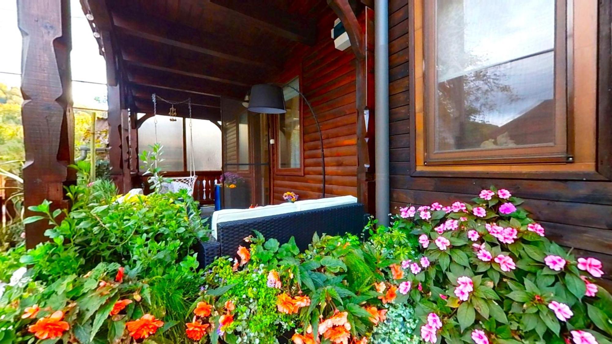 Vila "'Nu Ma Uita" Sovata Exteriér fotografie